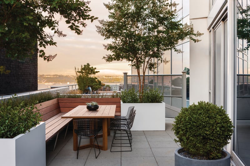 Seattle Terrace